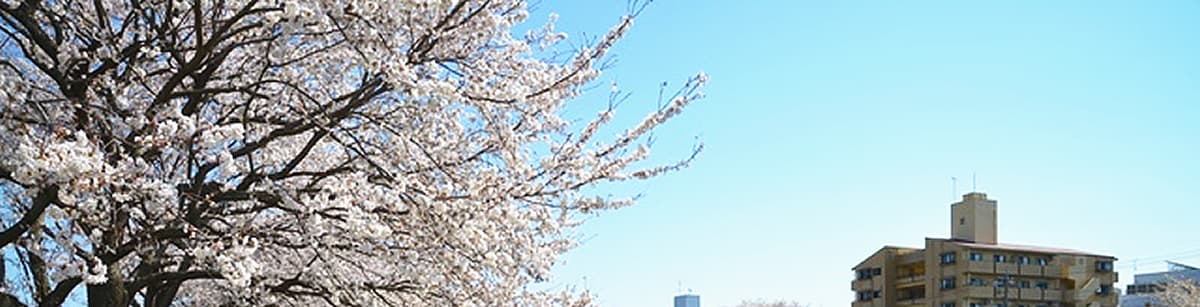 女子学生専用マンショングリシーヌ・ボワの特徴の見出し背景画像-桜の季節の浅川の風景