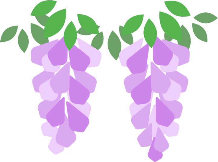 藤の花のイラスト